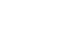 Logo Vertical Access