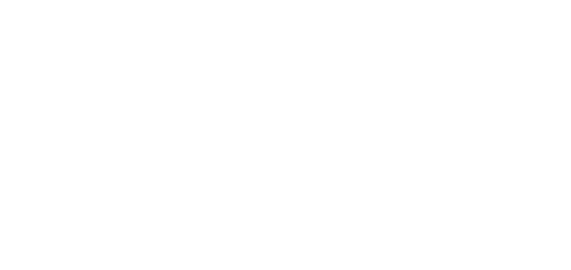 Logo Vertical Access